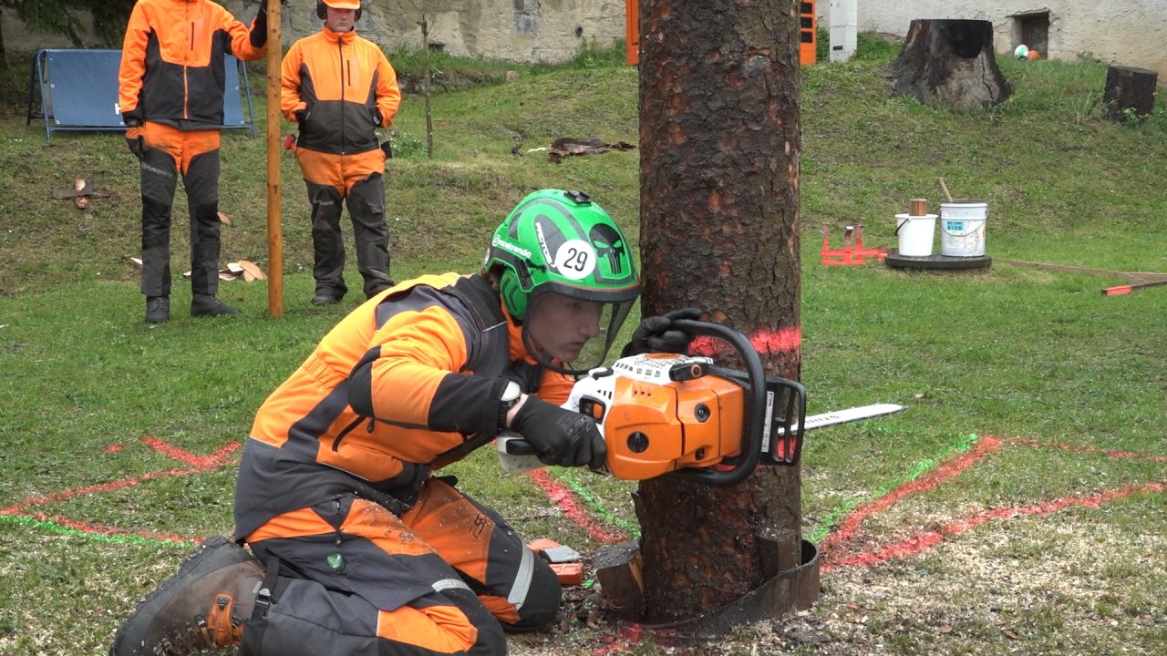 Lesní mechanizátor