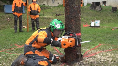 Lesní mechanizátor