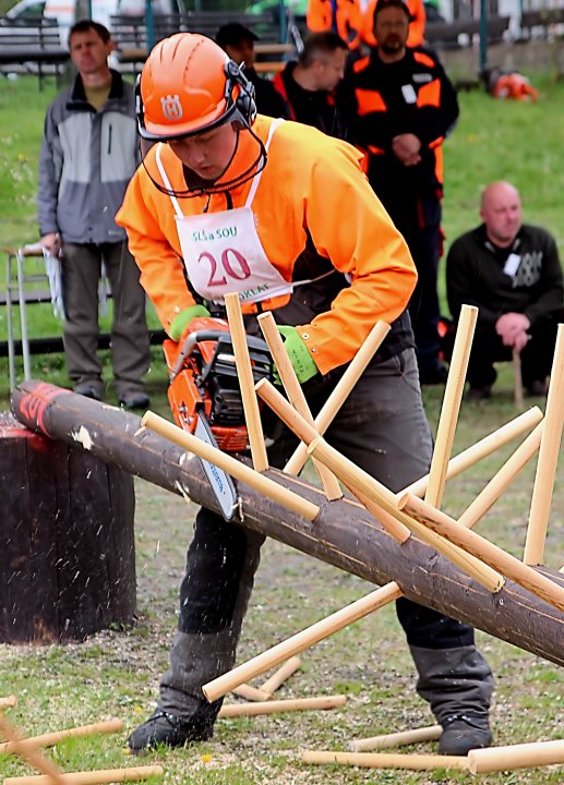 Výsledky v oboru lesní mechanizátor